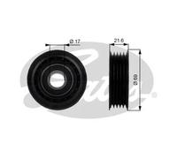 GATES T36189 Galoppino guidacinghia, cinghia Poly-V