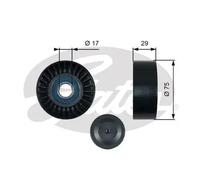 GATES T36462 Galoppino guidacinghia, cinghia Poly-V