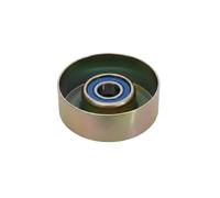 JAPANPARTS JPRP-519 Galoppino Cinghia Poly-V