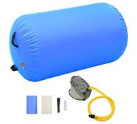 Rullo da Ginnastica Gonfiabile con Pompa 100x60 cm in PVC Blu