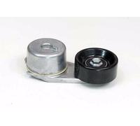 Rullo di Serraggio Cinghia Trapezoidale Braccio Ford Ranger 92-12 / Mazda B2300/