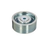 Rullo guida nastro con nervatura a V BTA B05-02-084