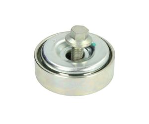 Rullo guida nastro con nervatura a V DAYCO APV2404