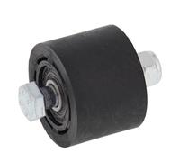 Rullo guidacatena di trasmissione per ALL BALLS AB79-5002