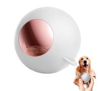 Rullo per pelucchi riutilizzabile - Depilatore portatile lavabile per animali domestici,Detergente multifunzionale per la rimozione di pelucchi in pelliccia Rulli leggeri per la rimozione dei Palla pe