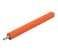 Rullo Ricoh AE010059 Metallo Arancione 1 pezzo