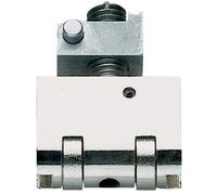Rullo singolo per Blindo e Multiblindo ISEO - Asse 25 mm - 040801
