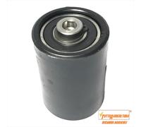 Rullo tendicinghia ORIGINALE Gaspardo 21120121