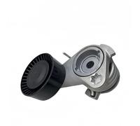 Rullo Tendicinghia Per BMW 11287530314 11288624196 Gruppo ruota di tensione Estensione della tensione