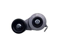 Rullo Tendicinghia Per Hyundai Per SANTA FE X35/TUCSON Per KIA Per SORENTO Per SPORTAGE 25281-2F000 Ricambi Auto Gruppo Tenditore Cinghia Puleggia Tenditrice