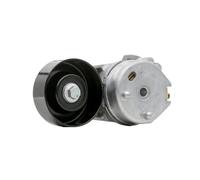 Rullo Tendicinghia Per JAGUAR XK XJ Per LAND Per RANGE Per ROVER PQG500030 C2C36146 C2S45579 C2S11662 AJ88003 Gruppo Tenditore Automatico Cinghia Trasmissione
