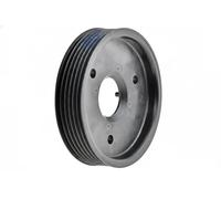 NTY RKP-RE-021 Rullo tenditore, Cinghia trapezoidale