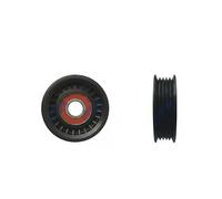 NTY RNK-FR-036 Rullo tenditore, Cinghia trapezoidale per FORD