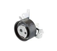 Rullo Tenditore Cinghia Dentata Snr GT359.26 per Citroën Fiat Lancia Peugeot