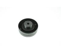 AUTOMEGA 130042810 Galoppino/Guidacinghia, Cinghia dentata per AUDI,VW