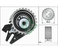 Ina 531 0844 10 Rullo Tenditore Cinghia Dentata