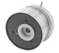 DAYCO ATB2506 Rullo tenditore, cinghia dentata