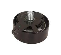 MAXGEAR Rullo tenditore, Cinghia dentata per AUDI VW 54-1222