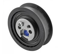 SNR GT357.05 Rullo tenditore, cinghia dentata