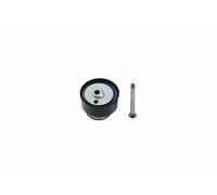 SNR GT357.25 Rullo tenditore, cinghia dentata