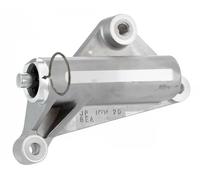 Rullo Tenditore Cinghia Dentata Snr GT357.45 per Audi VW