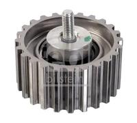 FEBI BILSTEIN 30980 Galoppino / Guidacinghia, Cinghia dentata