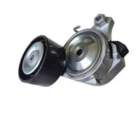 Rullo Tenditore Cinghia Per Auto JAC Sunray Puleggia Tendicinghia 1025300FE130