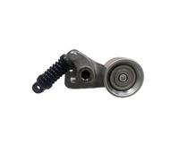 Rullo Tenditore Cinghia Per Camion Per Benz OM501 502 OE A5412001070 A5412002470 A5412002570 Cinghia In Pelle Per Motore Ruota Fissa Rialzata