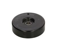 Rullo tenditore, Cinghia Poly-V 531055120