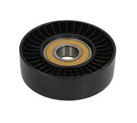 Rullo tenditore, Cinghia Poly-V 531067730