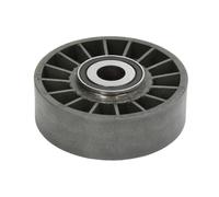 Rullo tenditore, Cinghia Poly-V 531071810