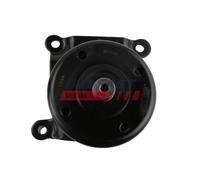 FAST Rullo tenditore FT44665 – cinghia Poly-V per Citroën, Fiat, Ford, Peugeot