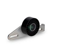 Rullo tenditore, Cinghia Poly-V INA 531 0427 10 per SANDERO 1.6 2010-2013