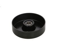Rullo tenditore, Cinghia Poly-V INA 531 0551 20 per MUSSO (FJ) 2 1996-2005