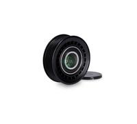 INA 531073310 rullo tenditore cinghia Poly-V diametro 81 mm