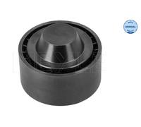 Rullo tenditore, Cinghia Poly-V MEYLE 16-14 009 0013 per CLIO IV (BH_) 1.2 2015-