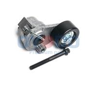 Rullo tenditore, Cinghia Poly-V per ALFA ROMEO BMW CHEVROLET FIAT OPEL 159 3 AST