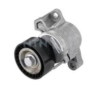 Rullo tenditore, Cinghia Poly-V per AUDI SEAT SKODA VW A1 FABIA IBIZA POLO RAPID