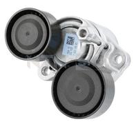 Rullo tenditore, Cinghia Poly-V per BMW 3 5 6 7 X1 X5 X6