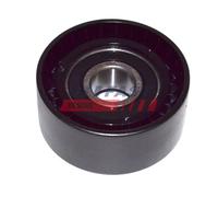 Rullo tenditore, Cinghia Poly-V per CITROËN DACIA FIAT PEUGEOT RENAULT 1007 206