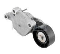 Rullo tenditore, Cinghia Poly-V per CITROËN DS FORD MINI PEUGEOT 1007 2008 206+