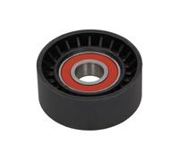 Rullo tenditore, Cinghia Poly-V per CITROËN JAGUAR LAND ROVER PEUGEOT 4007 C-CRO