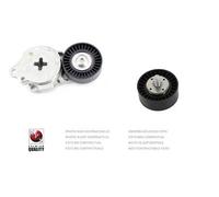 Rullo tenditore Cinghia Poly-V PER Peugeot 206 CC 1.6 HDi 110 80 KW 109 CV