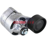 Rullo tenditore, Cinghia Poly-V per FORD TRANSIT