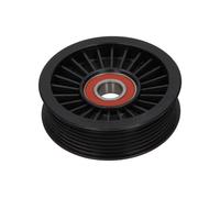 Rullo tenditore, Cinghia Poly-V per LAND ROVER RANGE ROVER