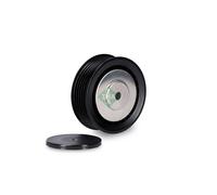 Rullo tenditore, Cinghia Poly-V per VW TRANSPORTER