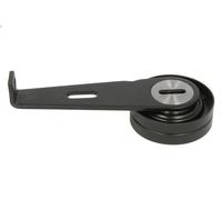 Rullo tenditore, Cinghia Poly-V SKF VKM 33002 per CITROEN ZX (N2) 1.9 1992-1997