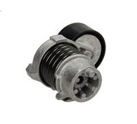 Rullo tenditore, Cinghia Poly-V SKF VKM 36138 per DUSTER (HS_) 1.2 2015-2018