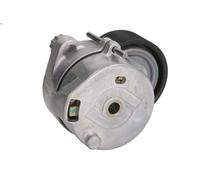 Rullo tenditore, Cinghia Poly-V SKF VKMCV 51007 per CITARO (O 530) 6.374 1998-