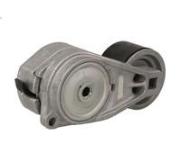 Rullo tenditore, Cinghia Poly-V SKF VKMCV 56011 per SCANIA P I 9.291 2004-2019
